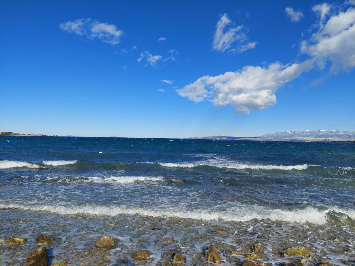 Apartmani Znidaric ヴィル エクステリア 写真